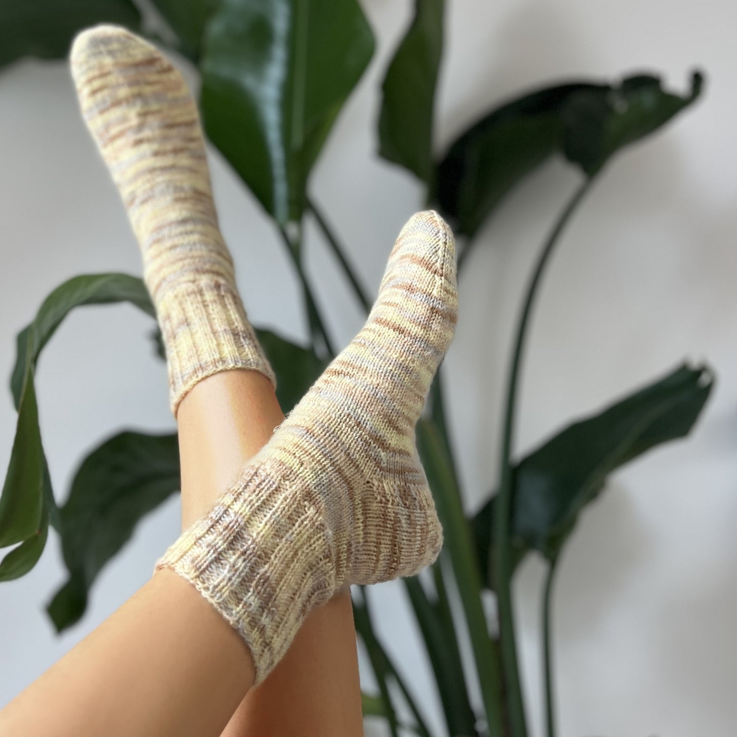 BAMBOO